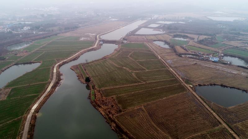 1585034559434855.jpg 2.jpg