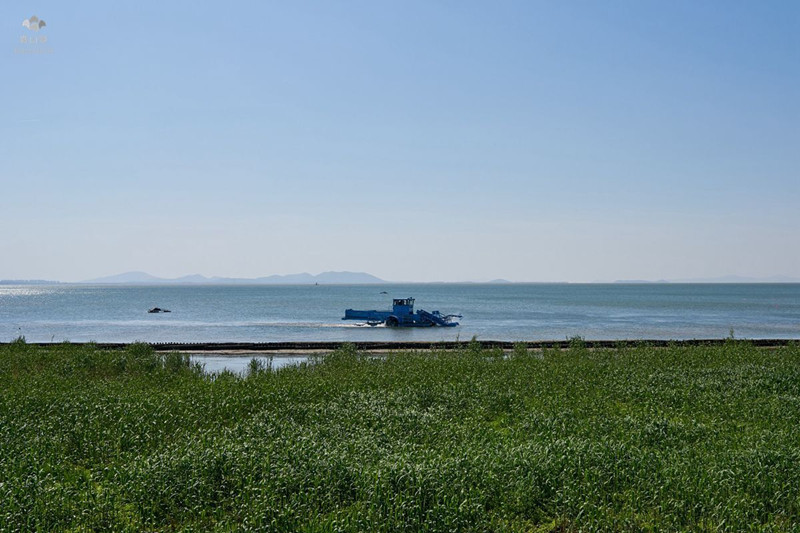 1587113138113570.jpg QQ图片20200416091050_副本.jpg