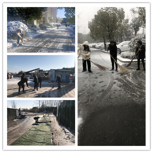 1609391644625243.jpg 1.jpg