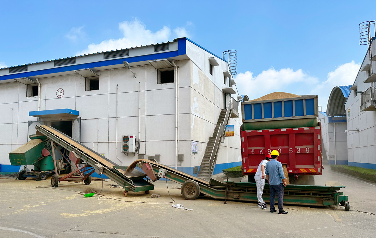 1690192473525775.jpg 7aba671bf4ac73477e63ef065894b88.jpg