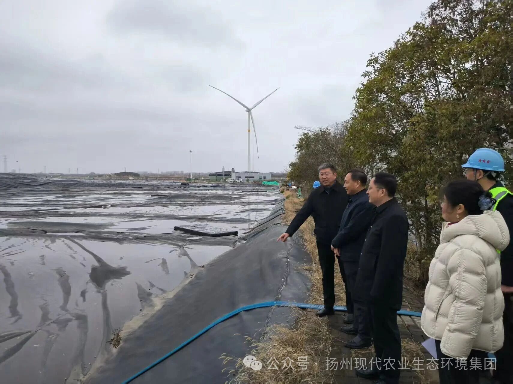 1775012969482385.jpg 1775012969482385.jpg